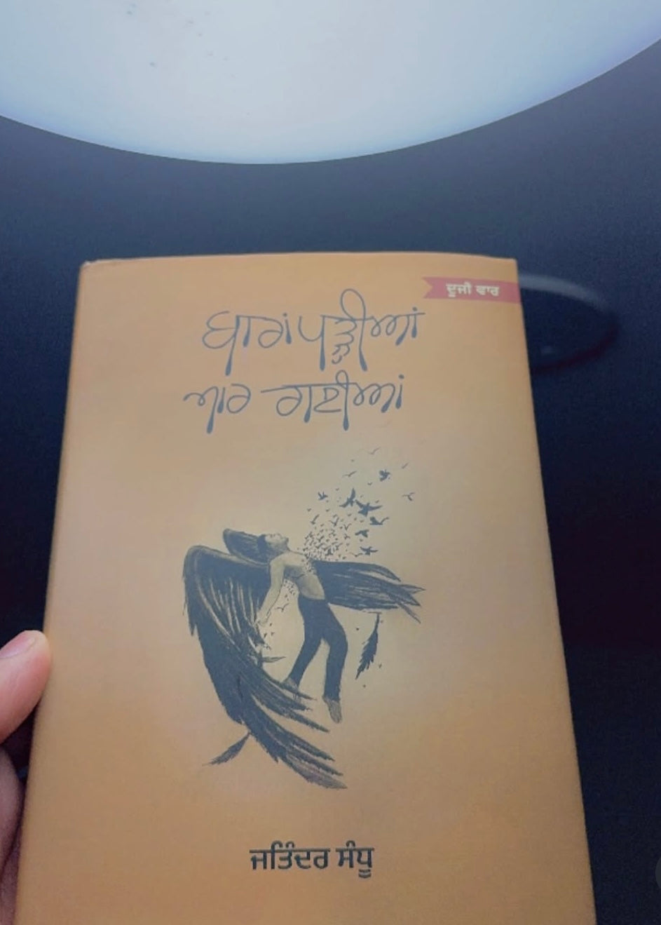 Baara Padhiya Maar Gyian || ਬਾਰਾਂ ਪੜ੍ਹੀਆਂ ਮਾਰ ਗਈਆਂ || Jatinder Sandhu