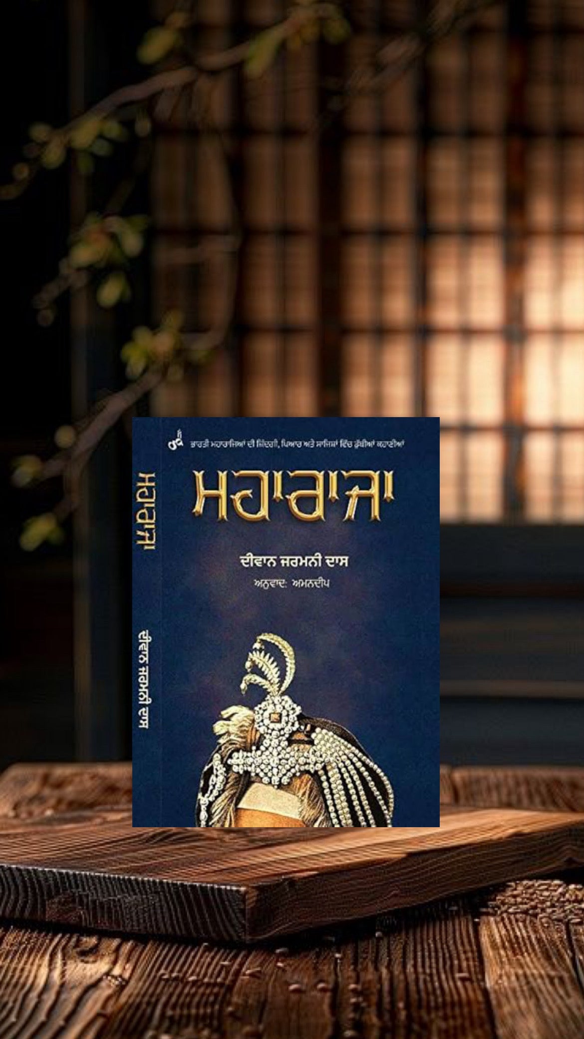 Maharaja || ਮਹਾਰਾਜਾ || Diwan Jarmani Dass