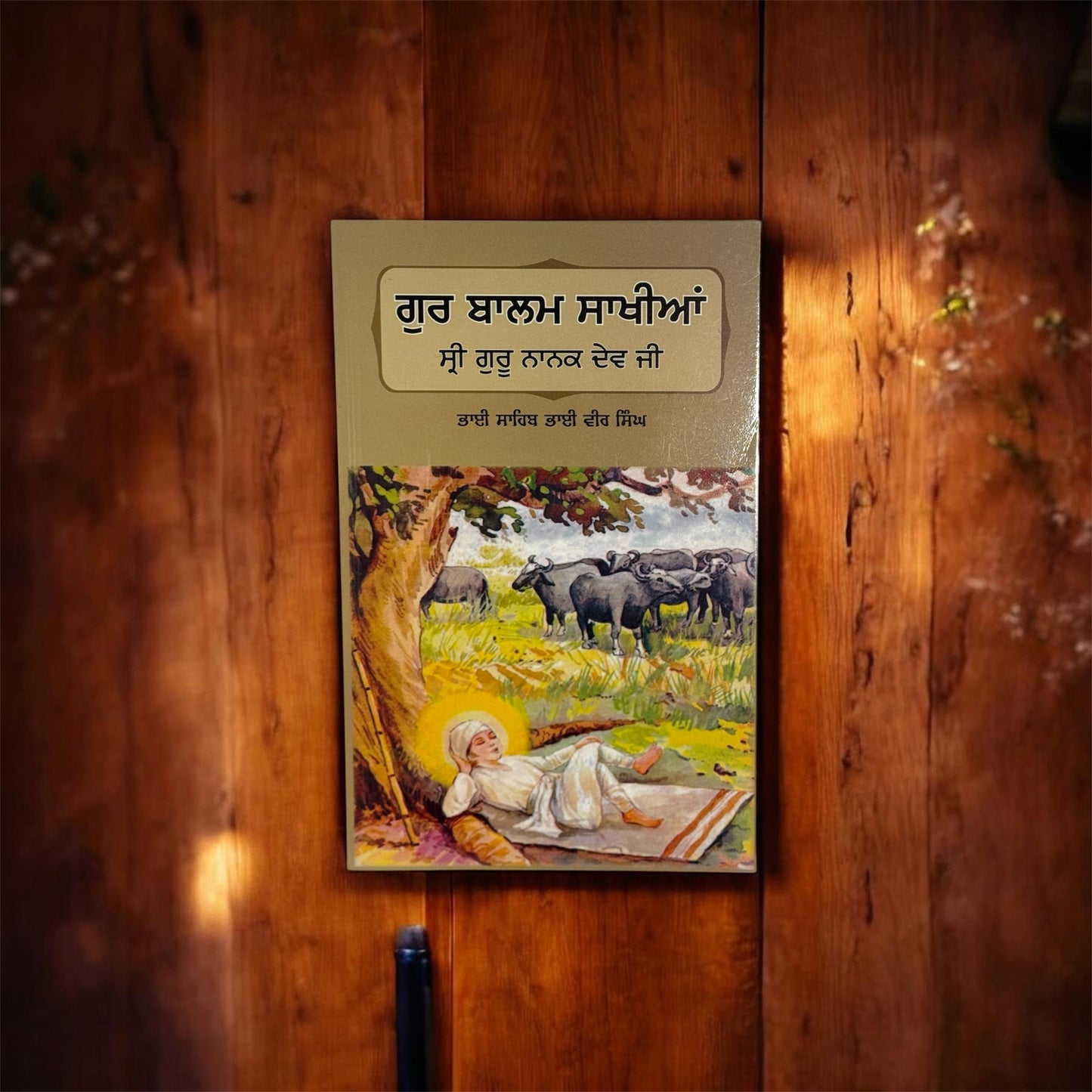 Gur Balam Sakhiya Shri Guru Nanak Dev Ji || ਗੁਰ ਬਾਲਮ ਸਾਖੀਆਂ ਸ੍ਰੀ ਗੁਰੂ ਨਾਨਕ ਦੇਵ ਜੀ