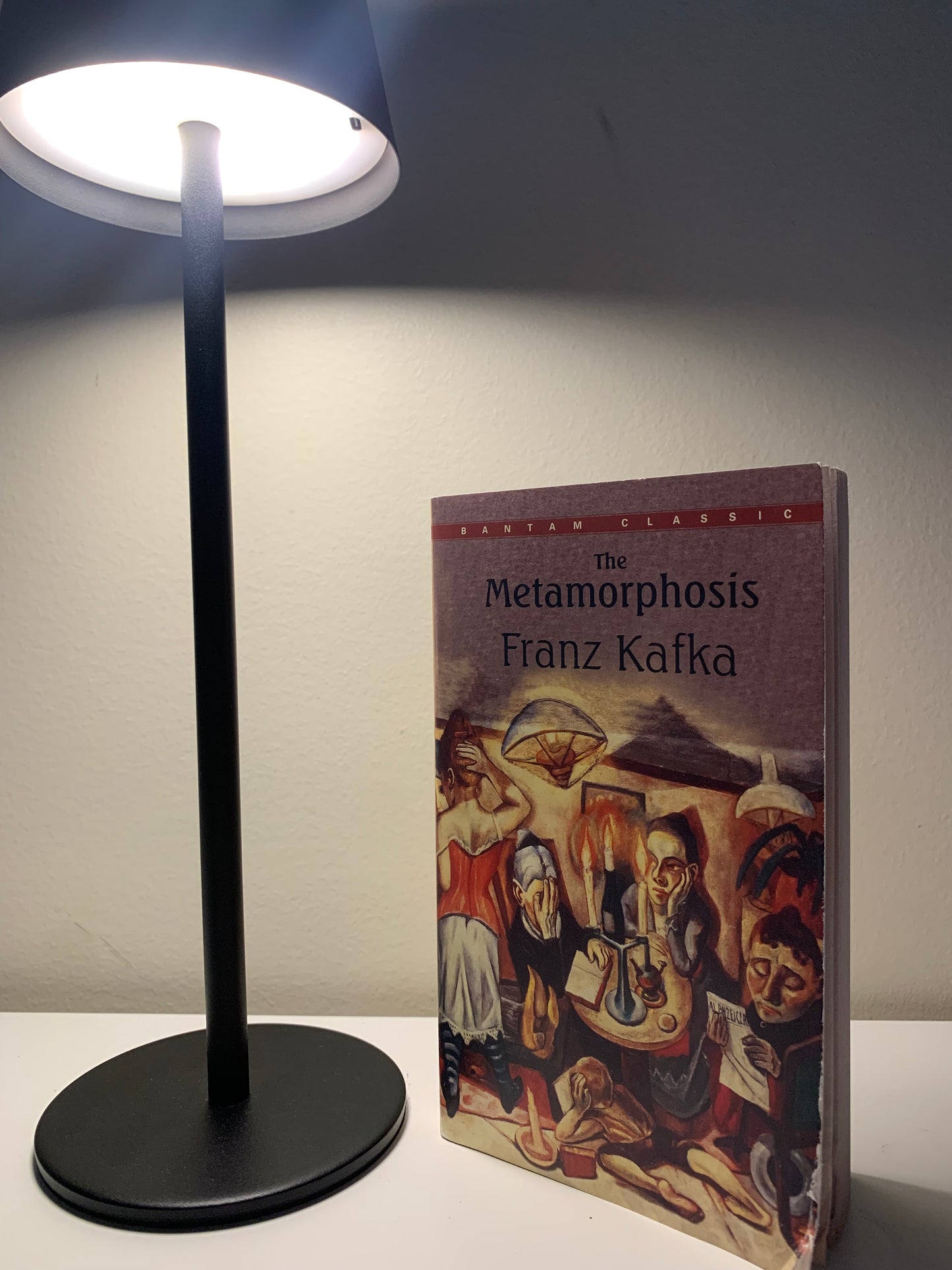 The Metamorphosis || Franz Kafka