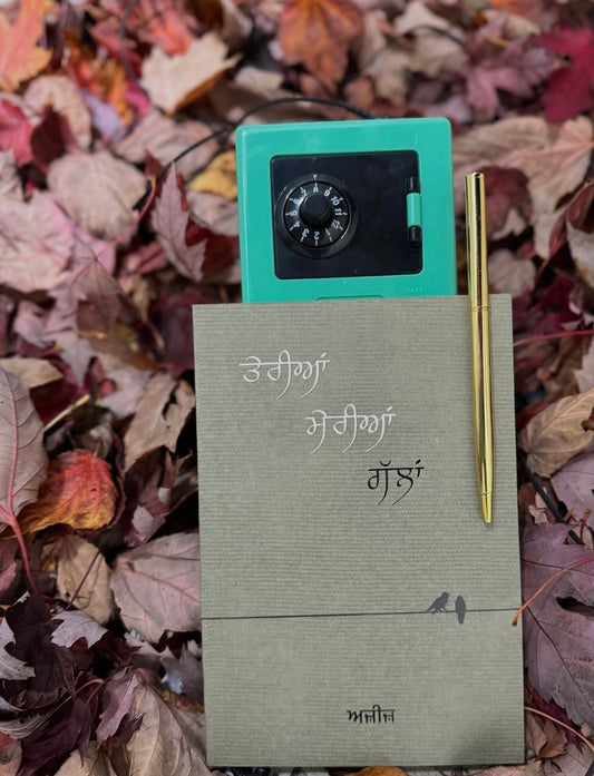 Teria Meria Gallan || ਤੇਰੀਆ ਮੇਰੀਆ ਗੱਲਾਂ || Ajeej