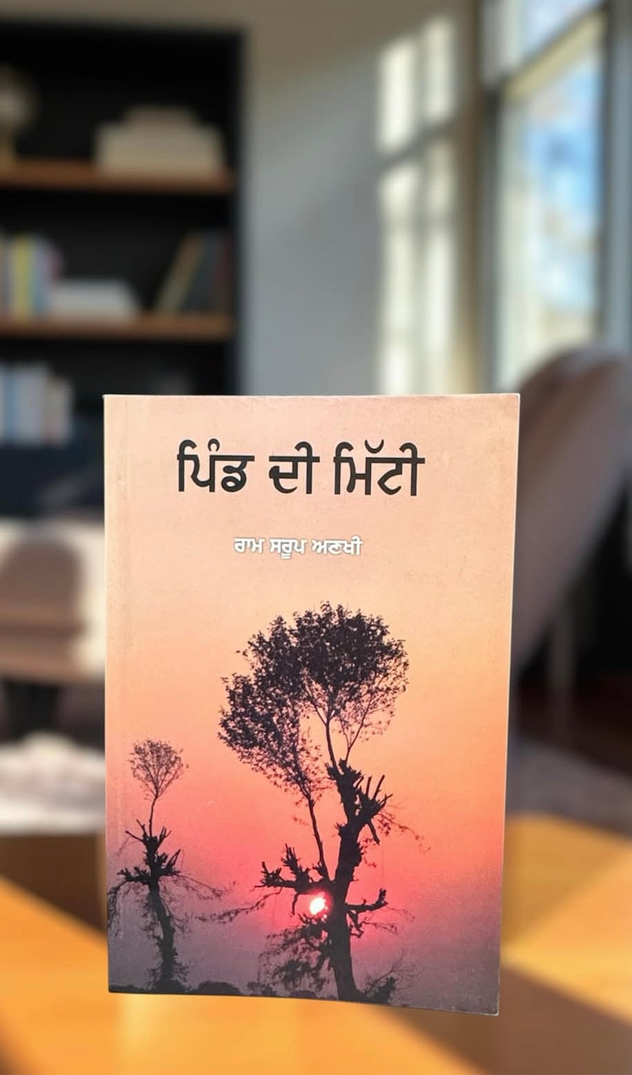 Pind di Mitti || ਪਿੰਡ ਦੀ ਮਿੱਟੀ ॥Ram Saroop Ankhi
