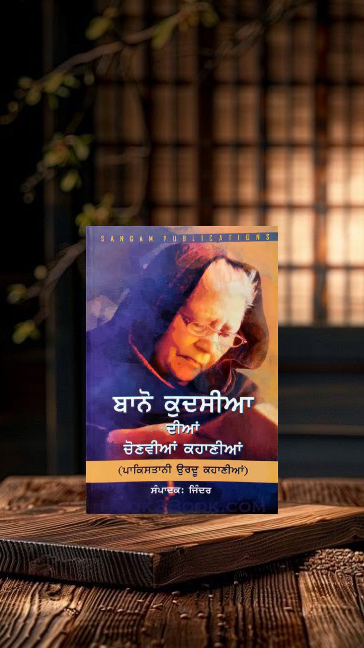 Banno Kudsia Diyan Chonviyan Kahania || ਬਾਨੋ ਕੁਦਸੀਆ ਦੀਆਂ ਚੋਣਵੀਆਂ ਕਹਾਣੀਆਂ ||