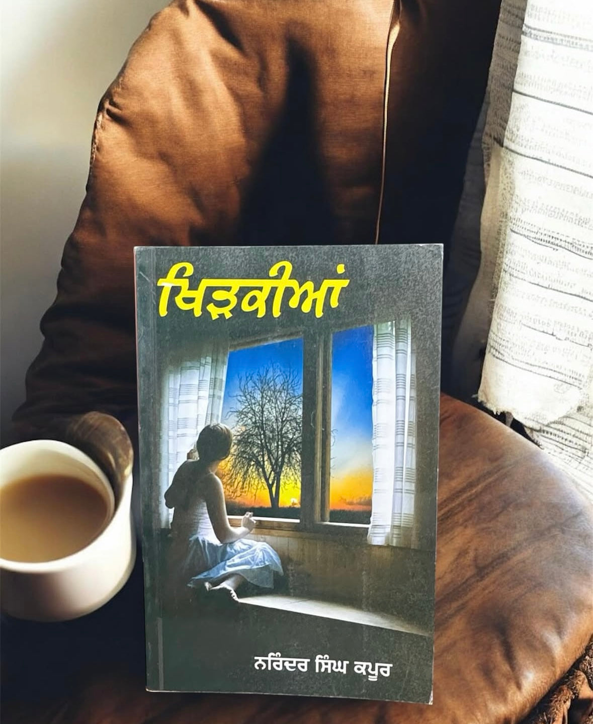 Khidkian || ਖਿੜਕੀਆਂ ॥ Narinder Singh Kapoor