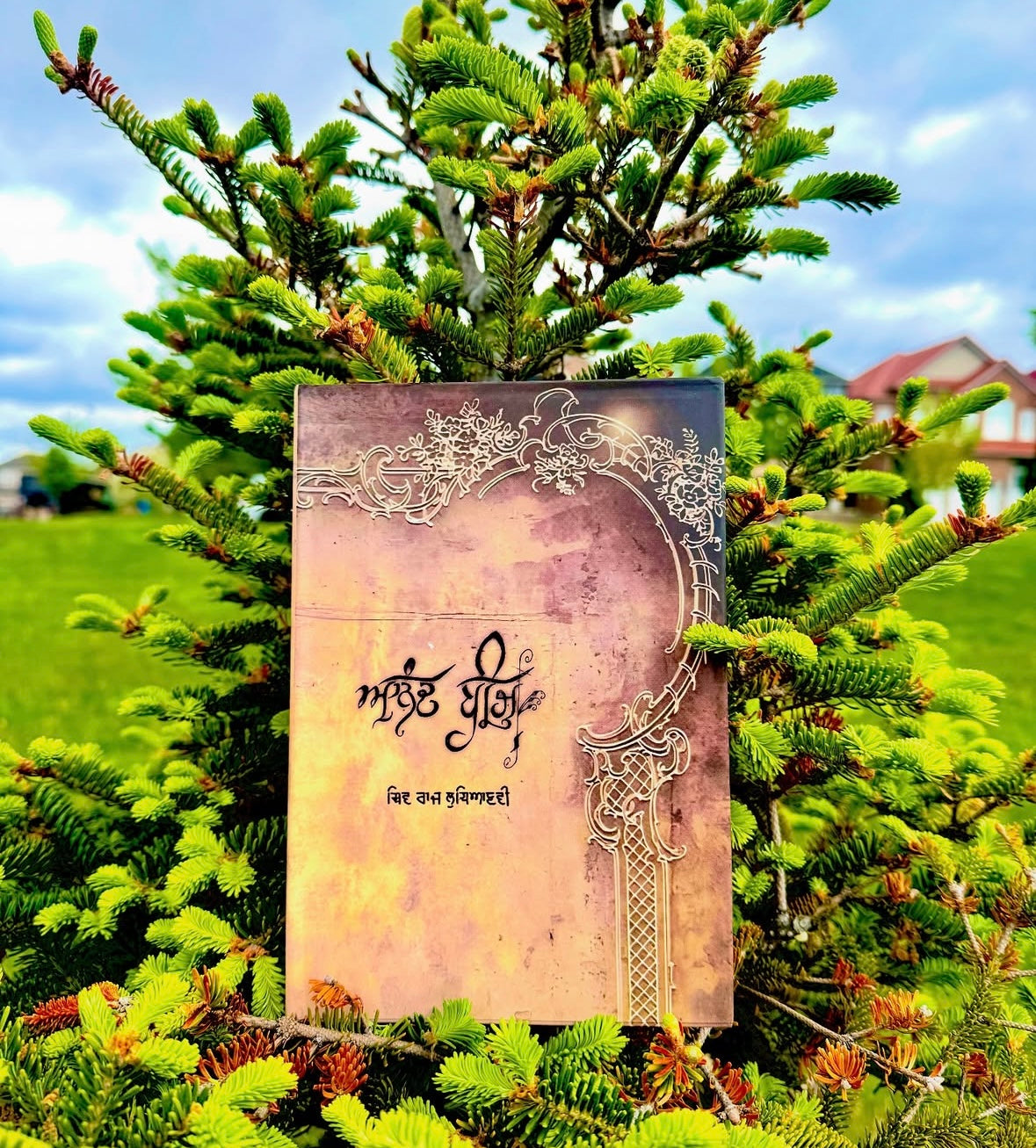 Aanand Beej || ਆਨੰਦ ਬੀਜ ॥ Shiv Kumar Ludhianvi