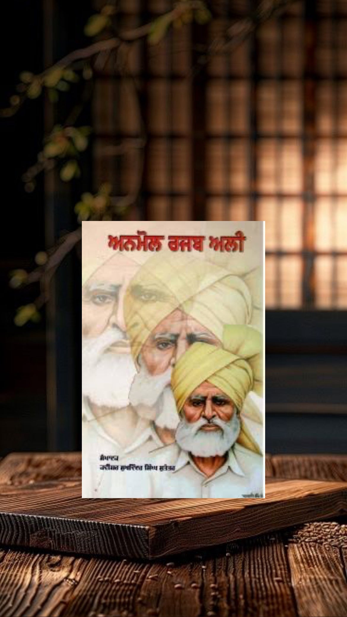 Anmol Rajab Ali || ਅਨਮੋਲ ਰਜਬ ਅਲੀ || Babu Rajab Ali