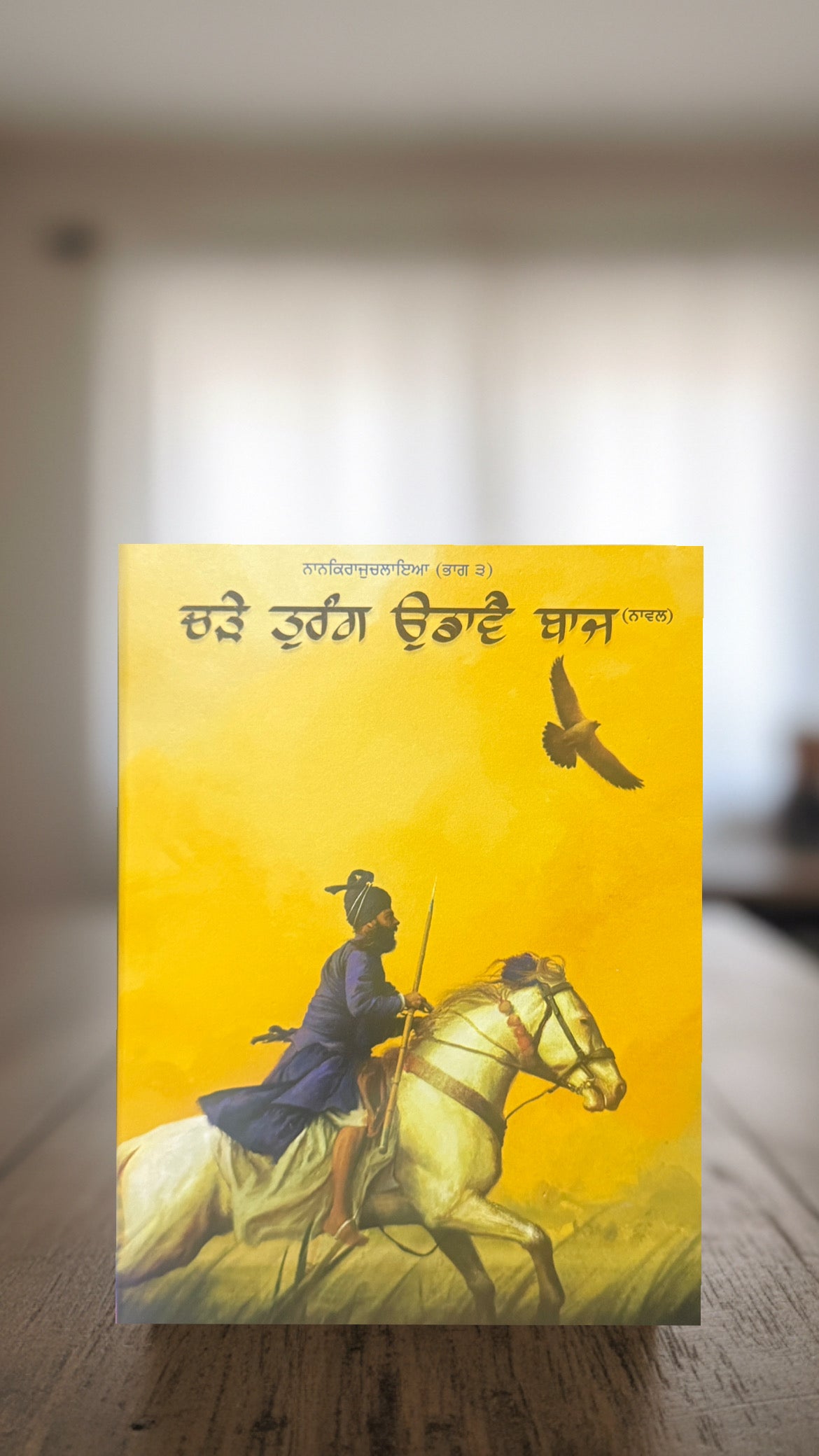 Charhe Turang Udaawe Baaz || ਚੜੇ ਤੁਰੰਗ ਉਡਾਵੈ ਬਾਜ || Jagdeep Singh